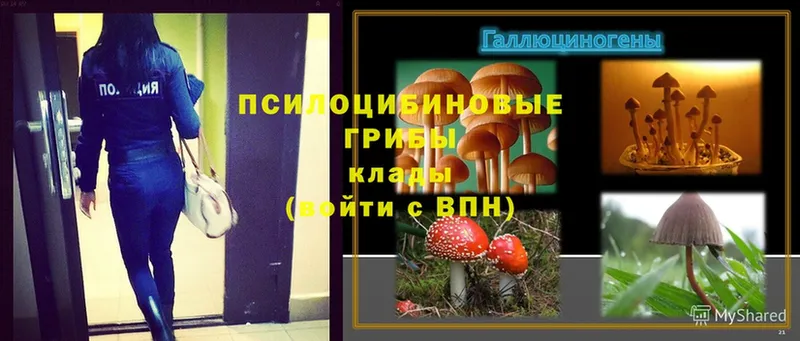 Псилоцибиновые грибы Magic Shrooms  купить наркотики сайты  Краснообск 